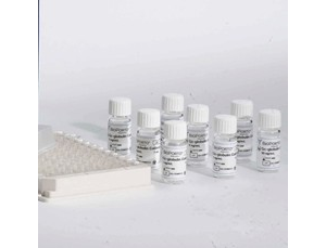 TᰱDøyԇעԼgָԭt