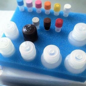 غzyԇעԼg(sh)ָ(do)ԭt